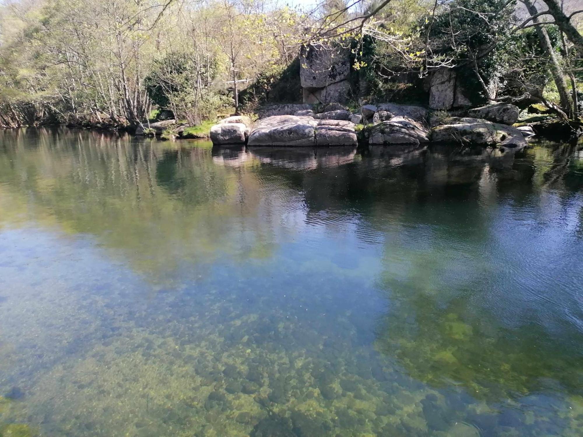 Quinta Do Moinho Turismo De Natureza Aldeia Vicosa Eksteriør bilde