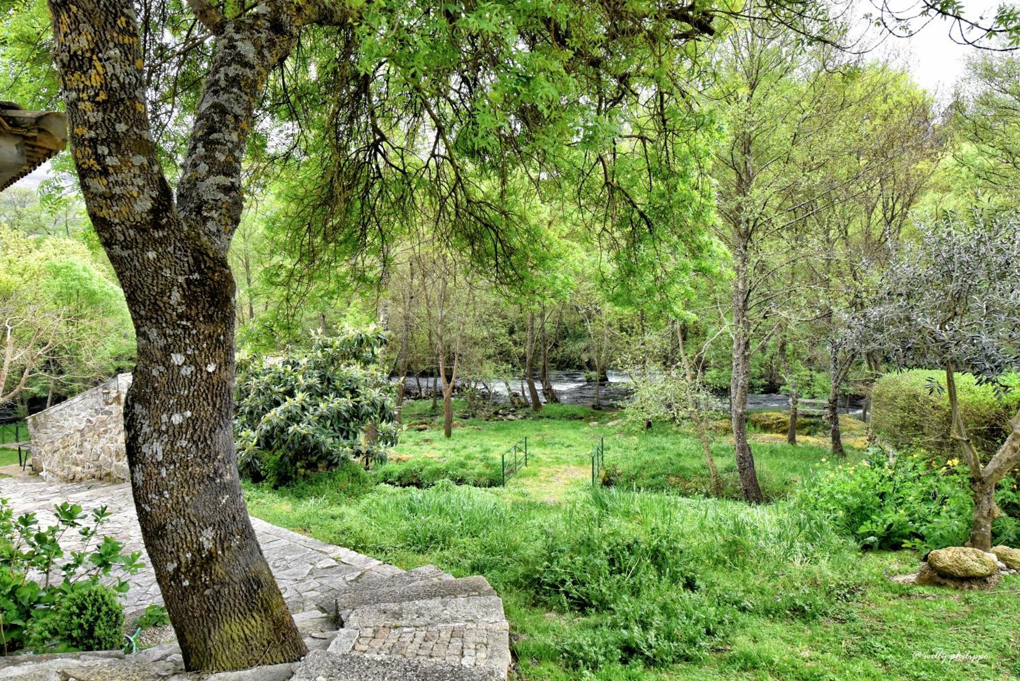 Quinta Do Moinho Turismo De Natureza Aldeia Vicosa Eksteriør bilde
